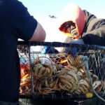 GoFish.Rocks marketplace for fishing trips and water tours